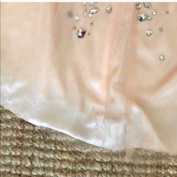 Val Stefani Pink Gem Gown - Picture 5 of 5